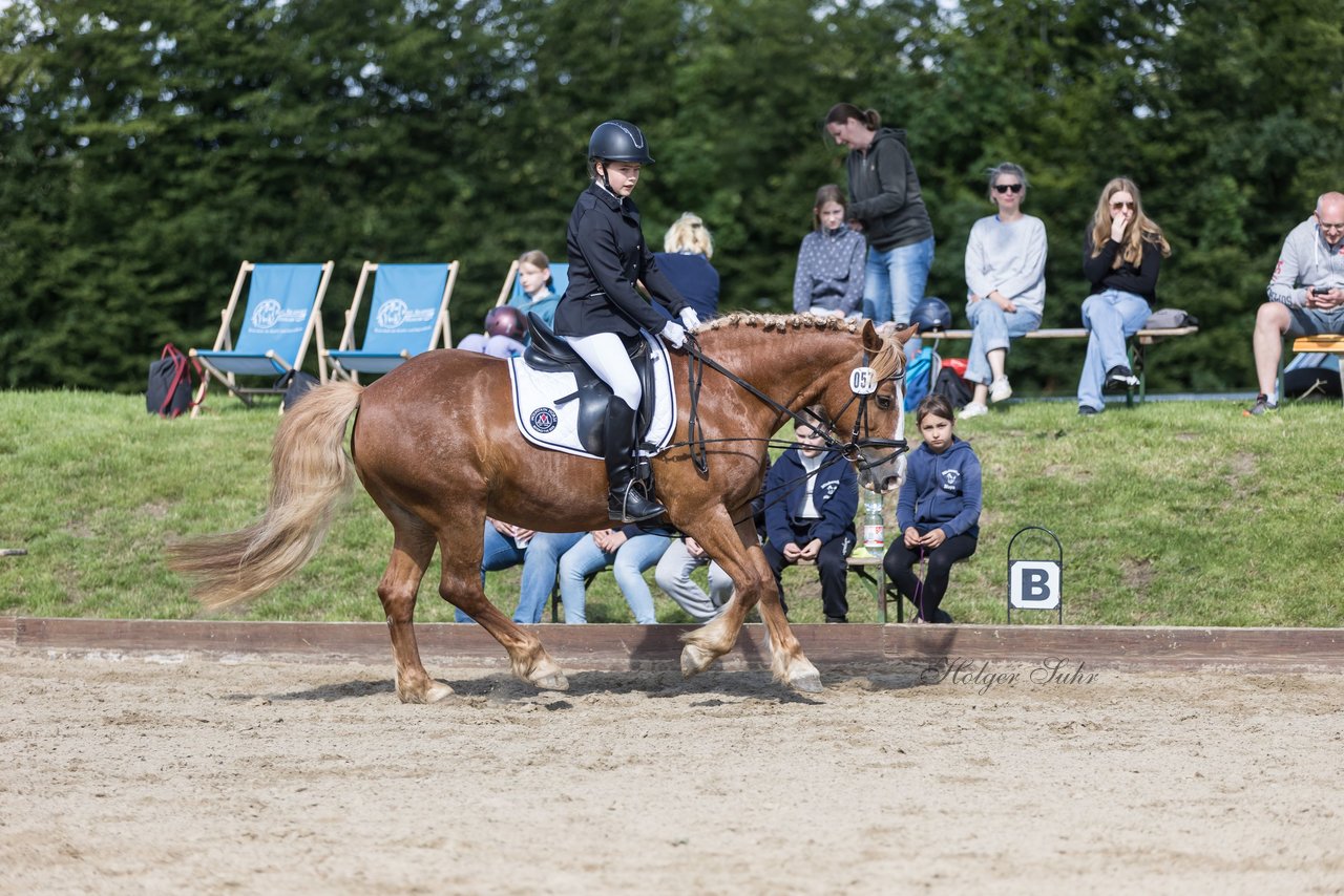 Bild 64 - Pony Akademie Turnier